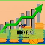 Index Fund