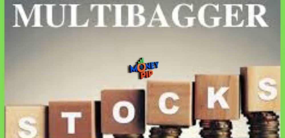 multibagger Stock