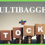 multibagger Stock