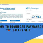 How to Download Paymanager Salary Slip