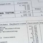Digital Paystub generator