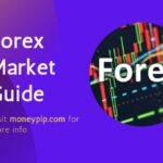Forex Market Guide