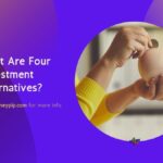 What Are Four Investment Alternatives?