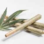 Things About CBD Pre Rolls