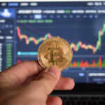 newbie crypto traders