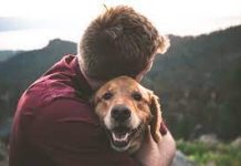 benefits of having a pet benefits of having a pet