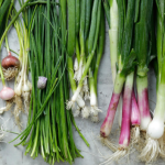 The Top Green Onion Substitute | Top 8 Benefits of Green onion Substitute.