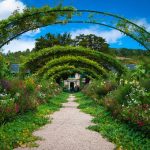 Little Garden